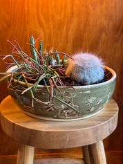 Morning Coffee Orchid Platter