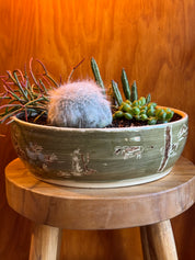Morning Coffee Orchid Platter