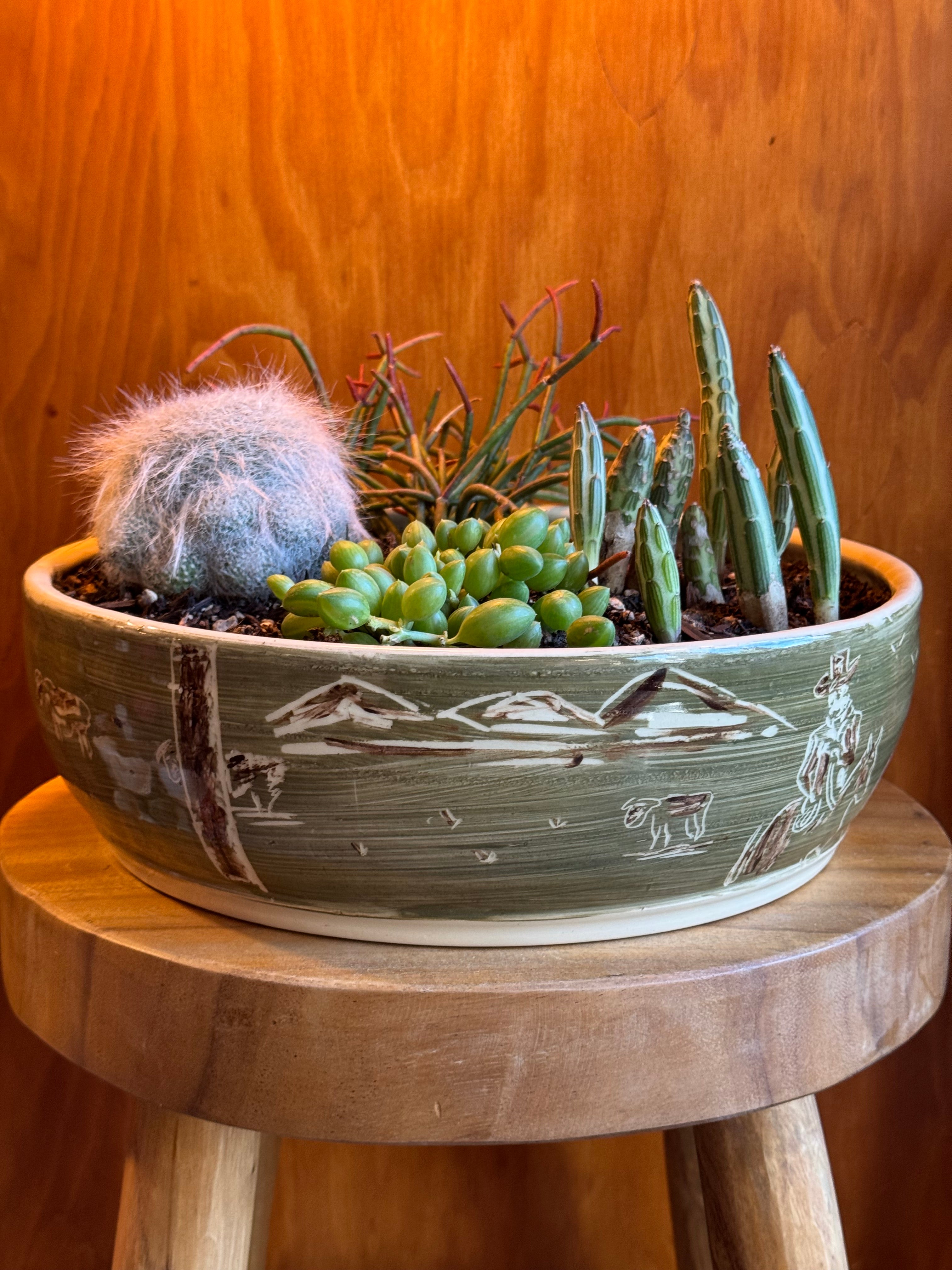 Morning Coffee Orchid Platter