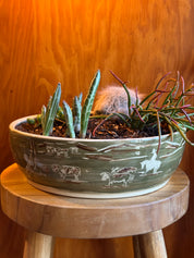Morning Coffee Orchid Platter
