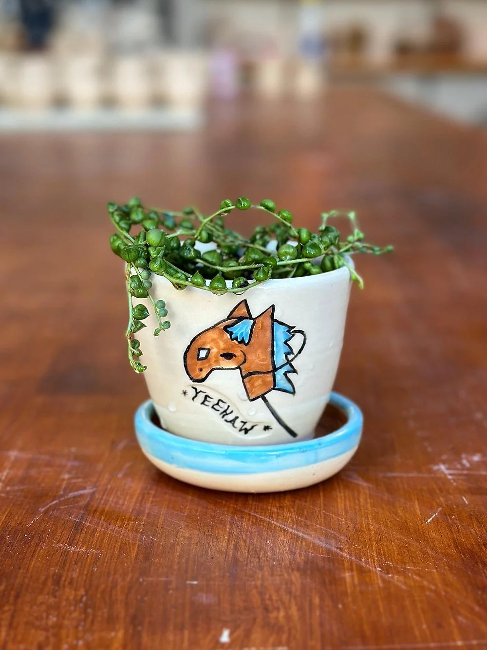 Blue Pony Planter