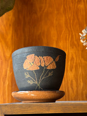 Orange Poppy - Planter