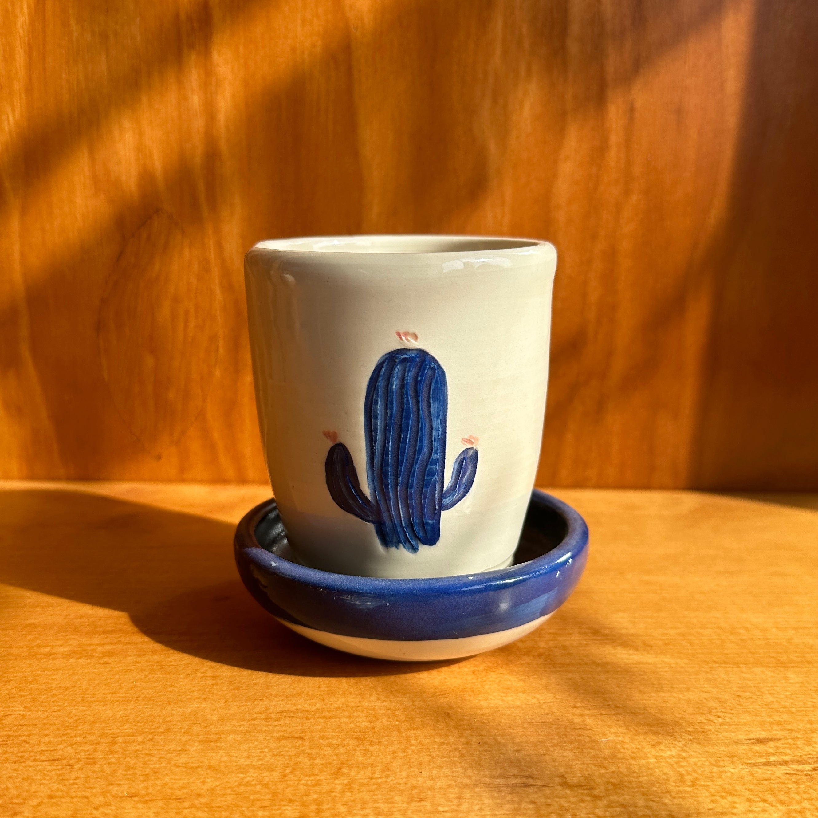 Blue Cactus Tiny Cup Planter