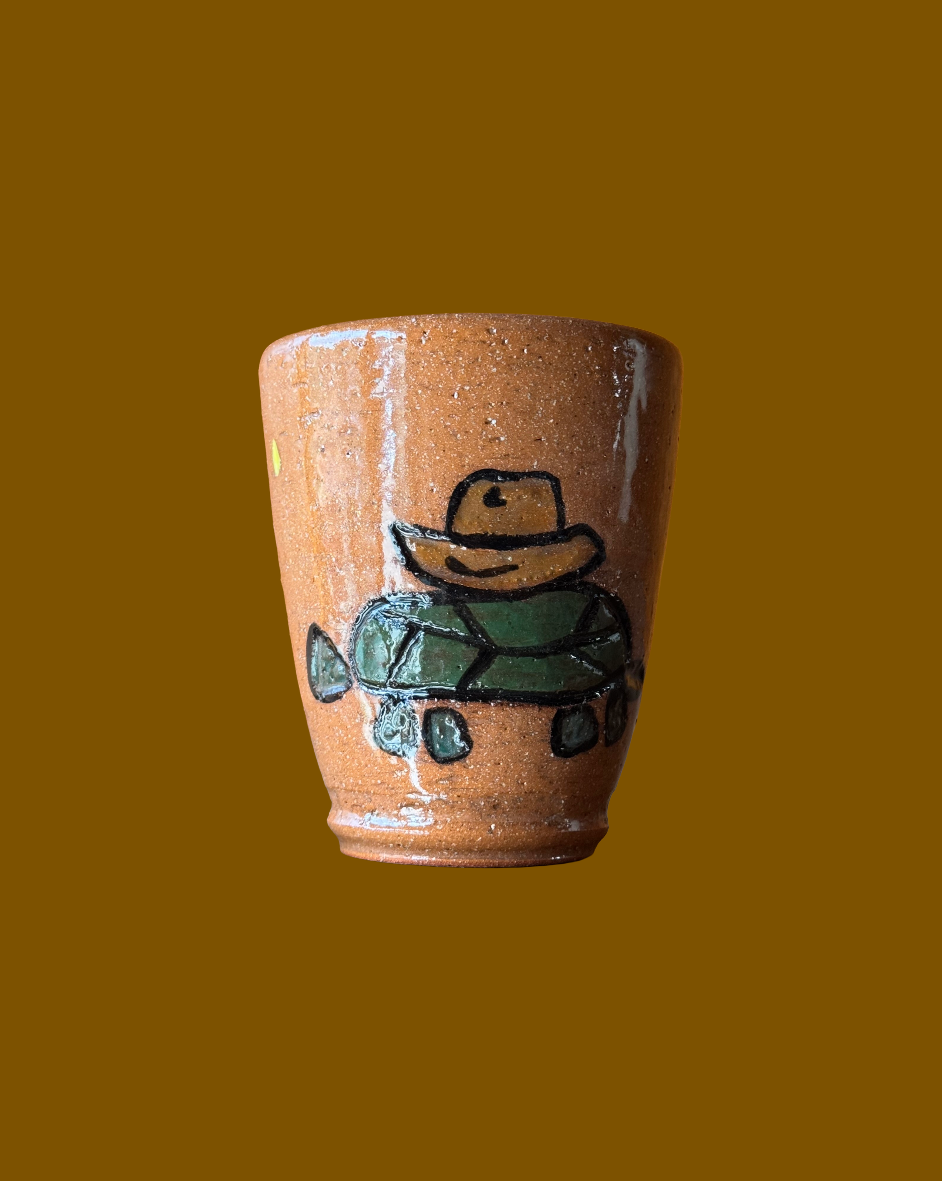 Santa Fe Cowboy Turtle