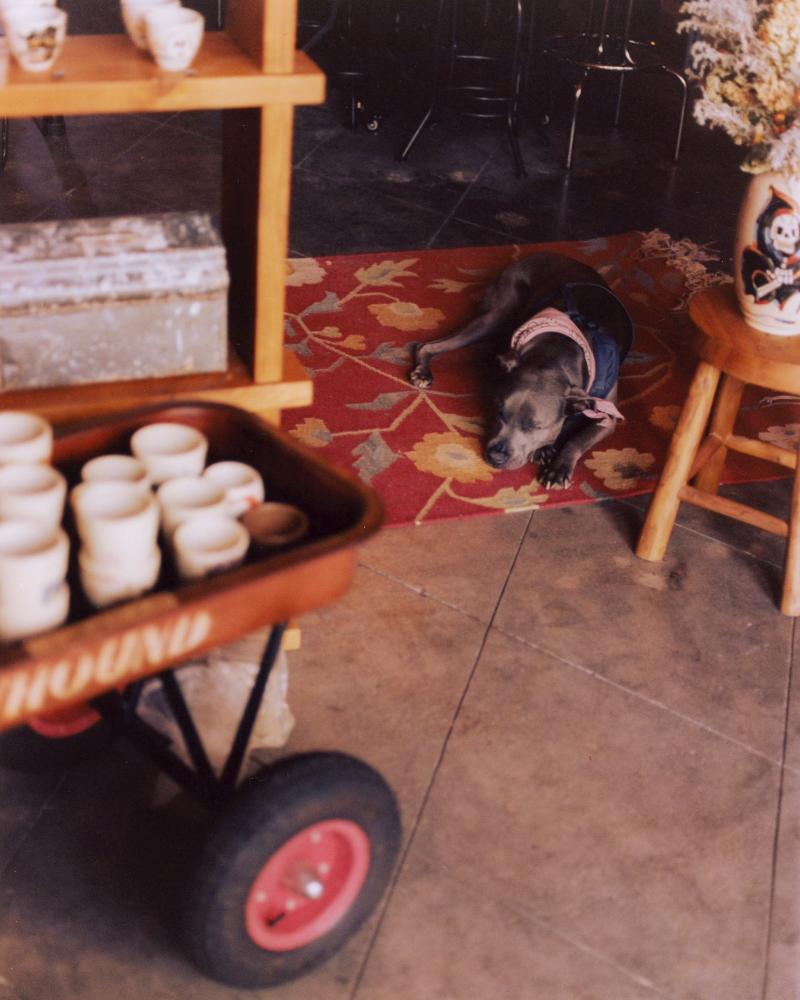 mud shop interior